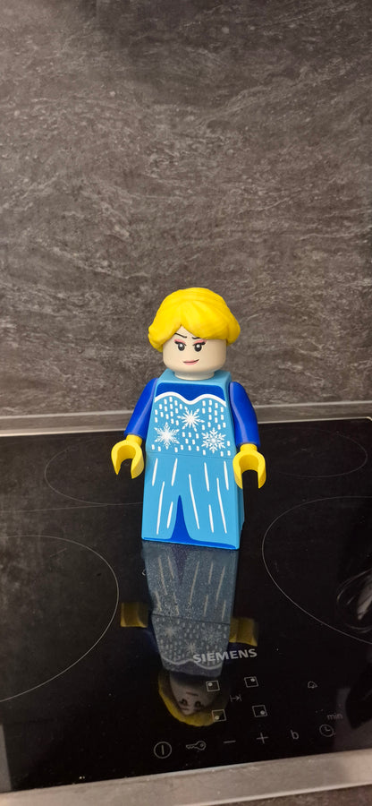 Frozen Building Block Characters