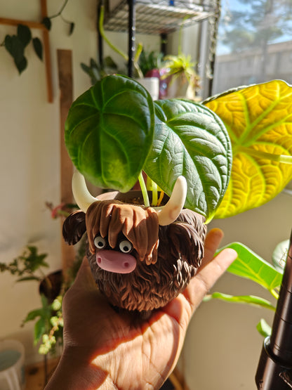 Cow-shaped flower pot