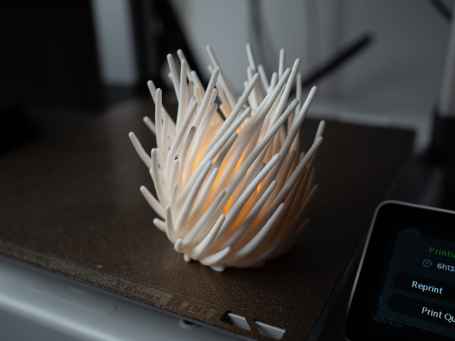 Ambient Lamp