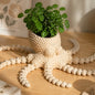 Octopus Flower Pot