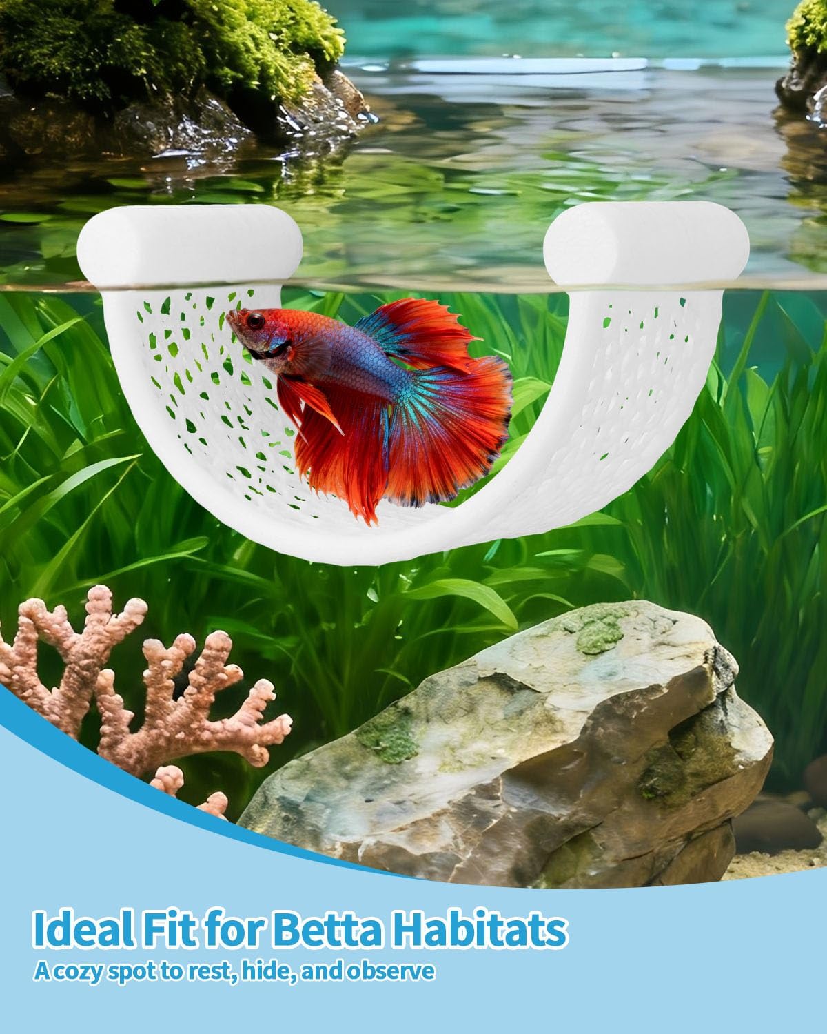3D Printed Floating Betta Hammock