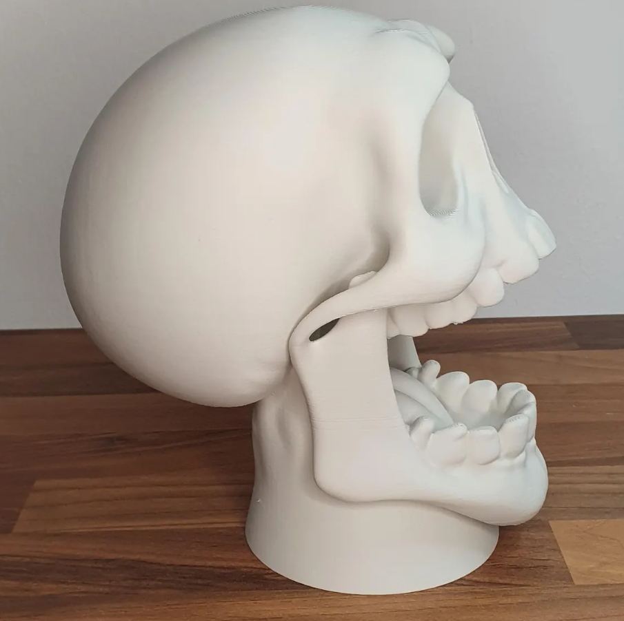 Skull Controller & Headset Stand